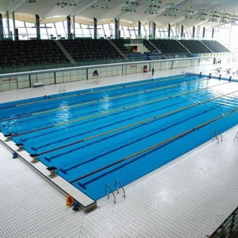 244*119欧洲标准泳池砖